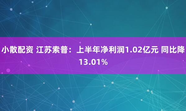 小散配资 江苏索普：上半年净利润1.02亿元 同比降13.01%